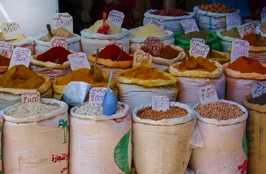 Backpacking in Food