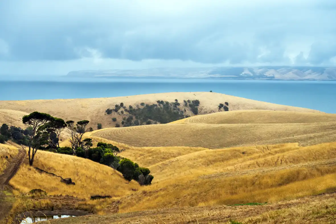 !australia - pixabay - coast-7840926