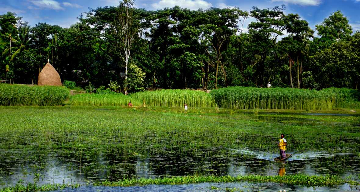 pixabay-bangladesh-3543466
