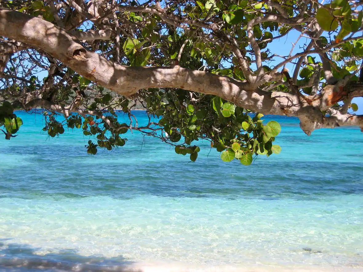 barbados-pixabay-92162