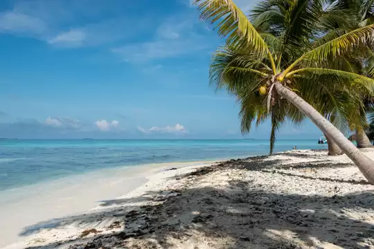 Country photo of Belize