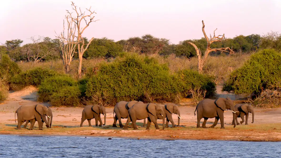 botswana-pixabay-1653100