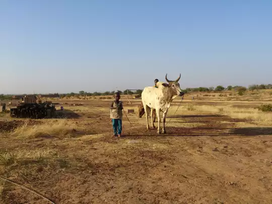 Country photo of Burkina Faso