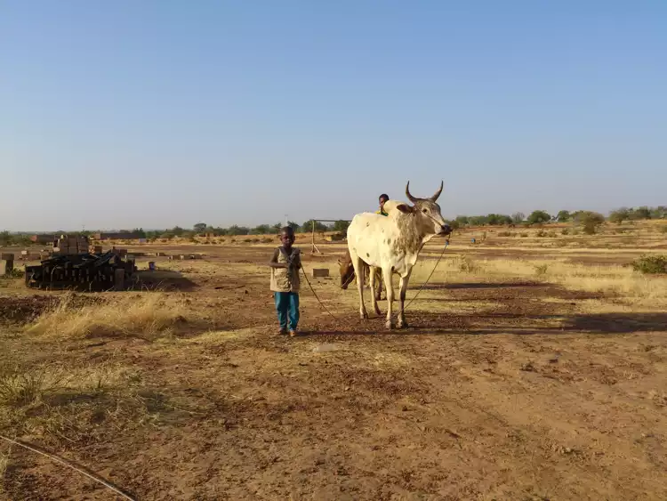 Backpacking in Burkina Faso