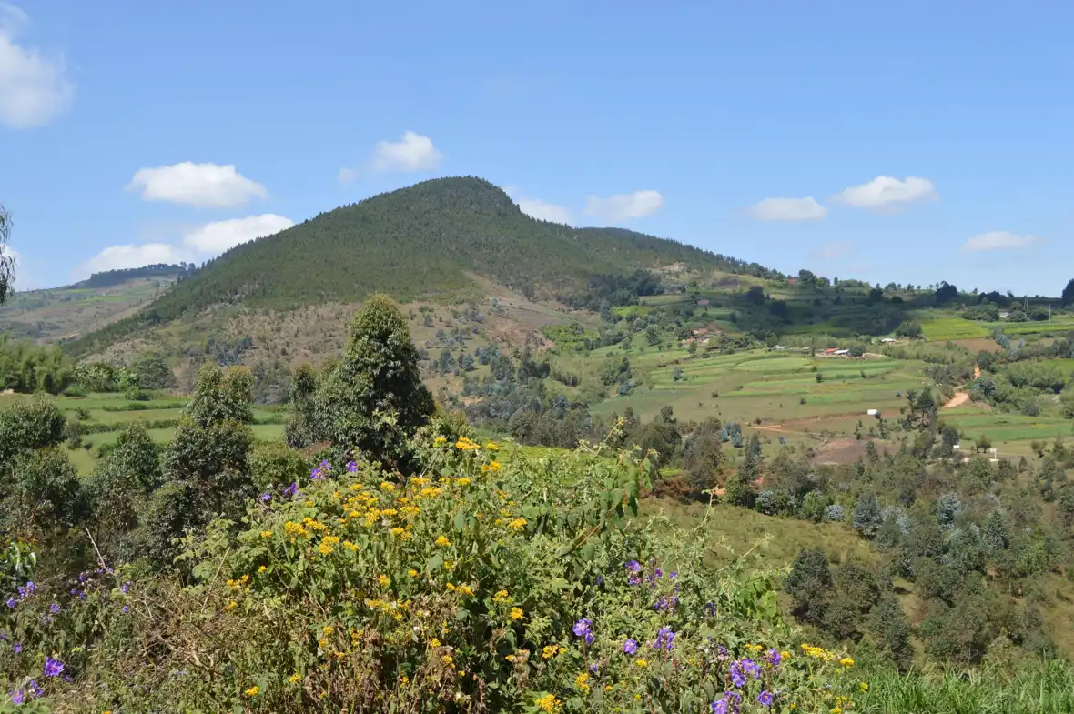 pixabay-burundi-mountain-6579536