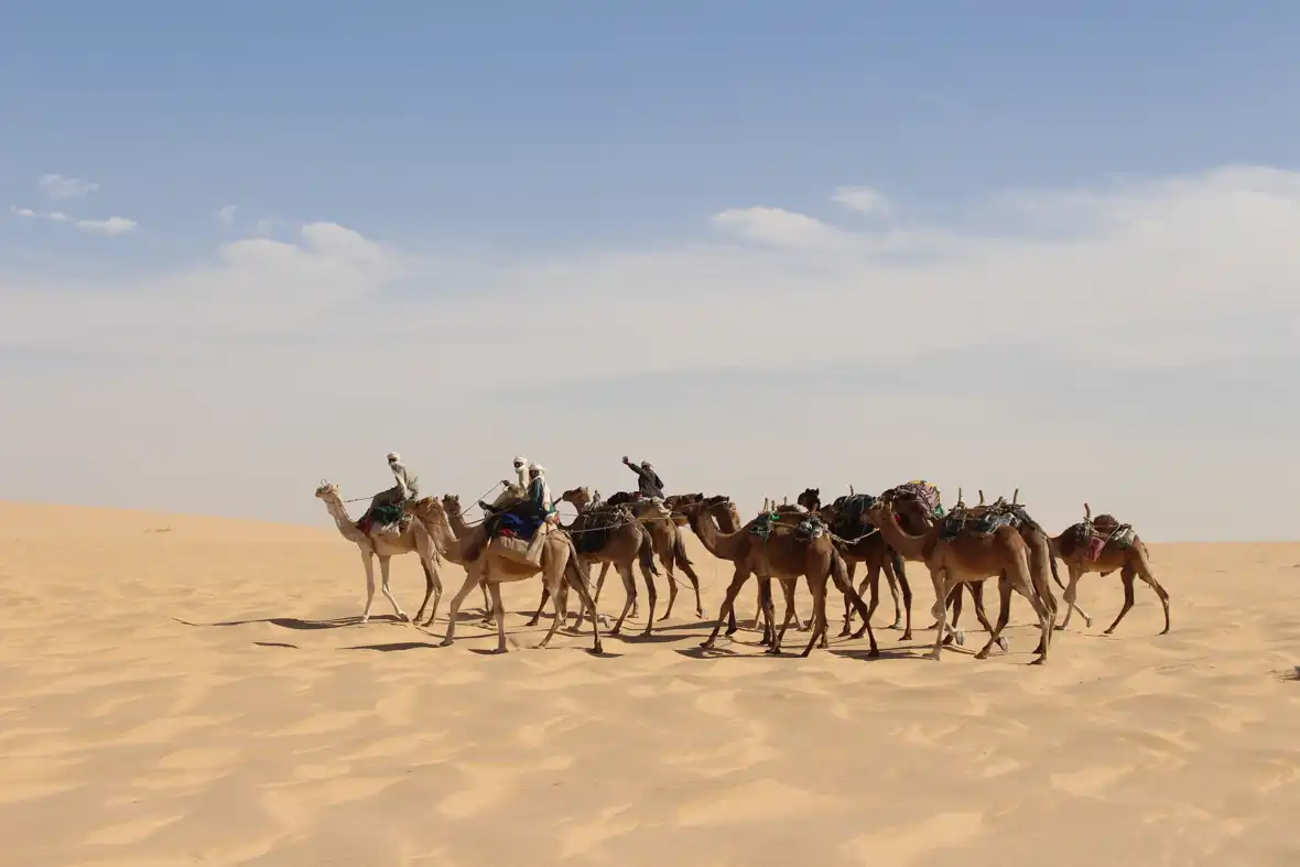 pixabay-chad-caravan-4483792