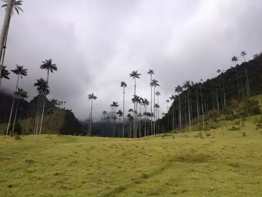 Country photo of Colombia