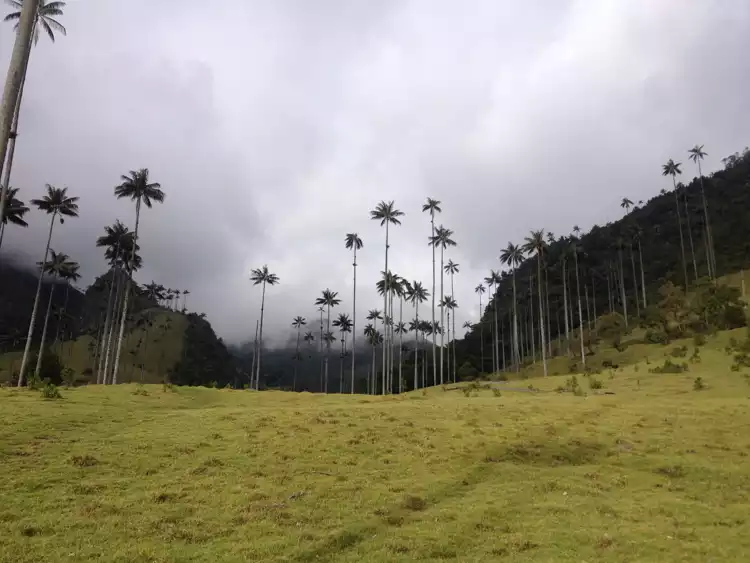Backpacking in Colombia