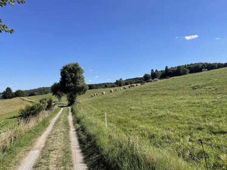 Take your backpack - Germany - 2