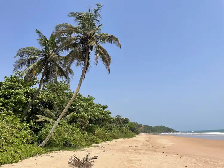 Take your backpack - A few days in paradise (Busua, Butre, Dixcove) - 3
