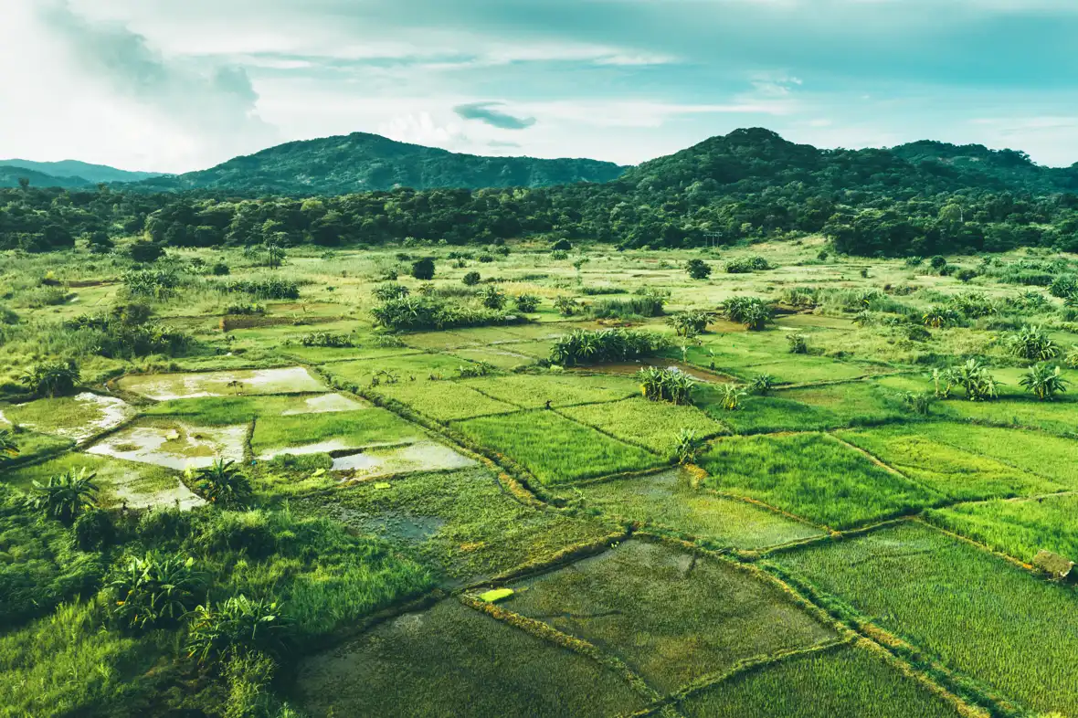 Malawi-iStock-1135788495