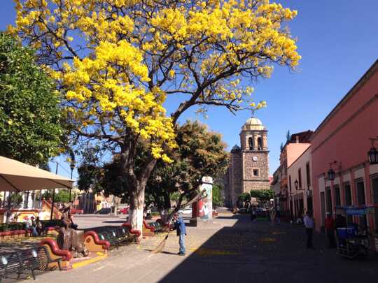 Mexico being different than my countries so far on my world travel