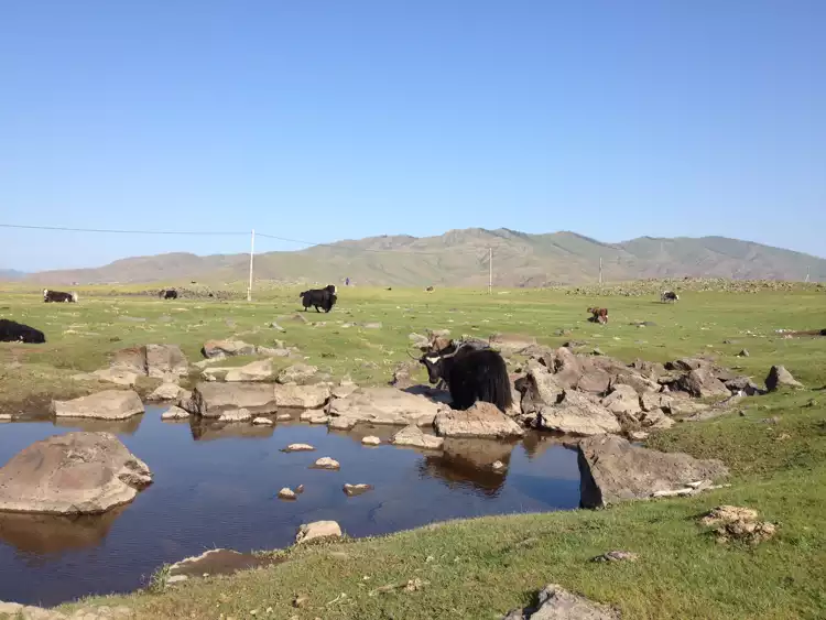 Take your backpack - Mongolia - 9