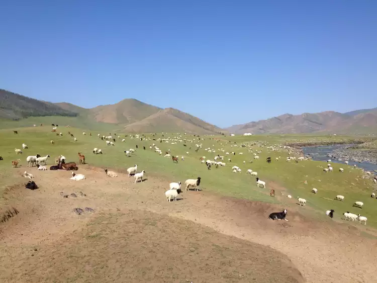 Take your backpack - Mongolia - 10