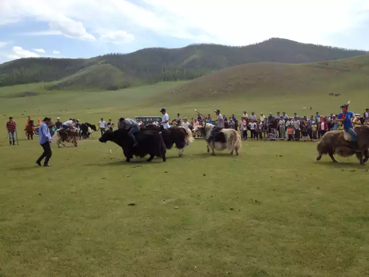 Take your backpack - The one and only true yak festival - 8