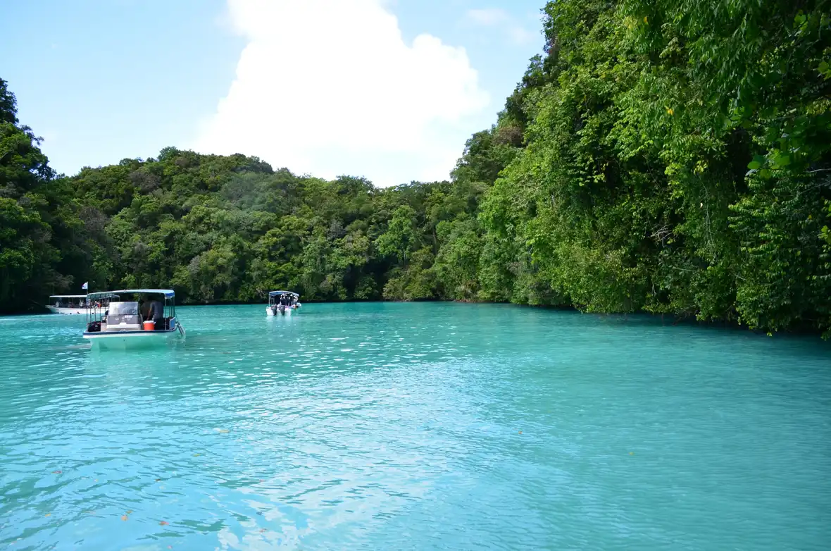 Backpacking in Full Travel Guide