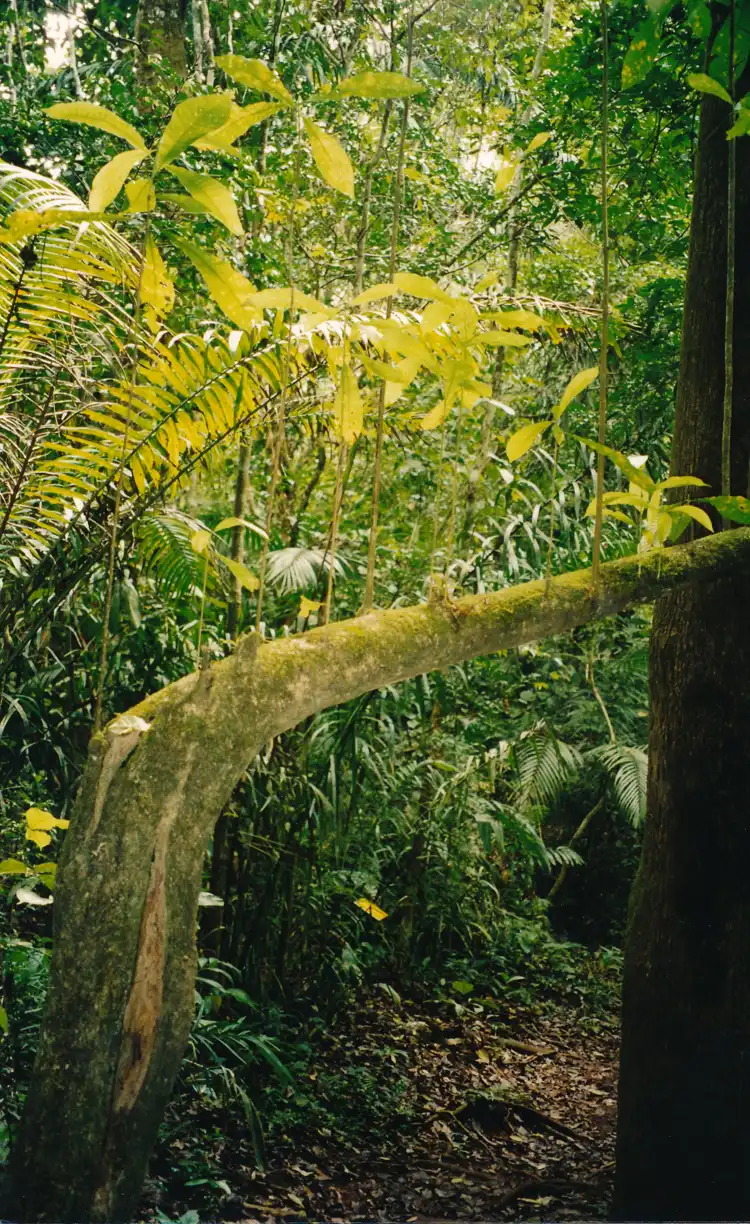 Take your backpack - Panama - 2