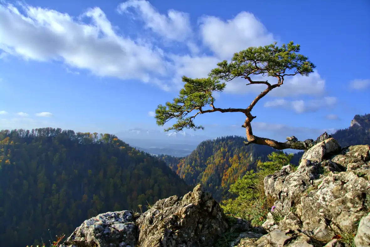 poland - pixabay - pieniny-1005434