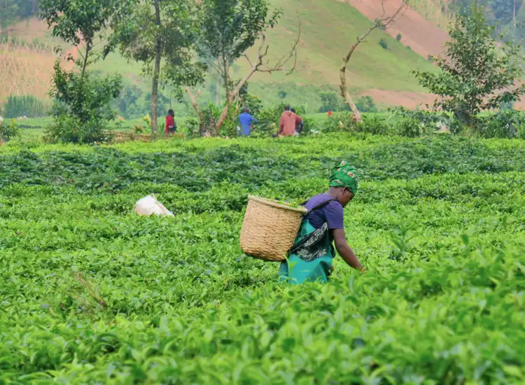 Take your backpack - Rwanda - 11
