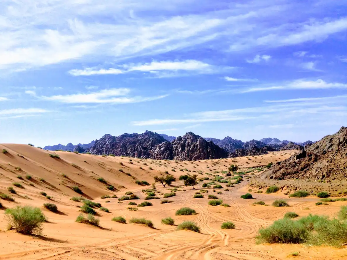 !saudi - arabia - rabah-al-shammary-7vOpzRF33Zo-unsplash