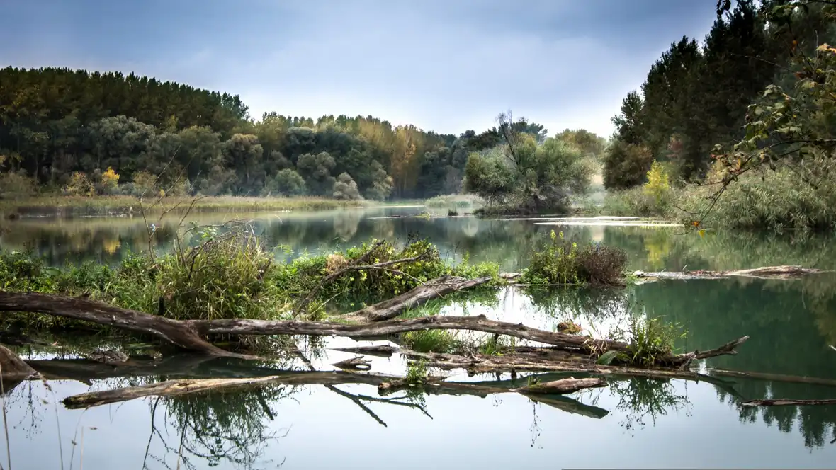 slovakia - pixabay - river-977476