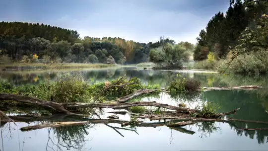 Slovakia