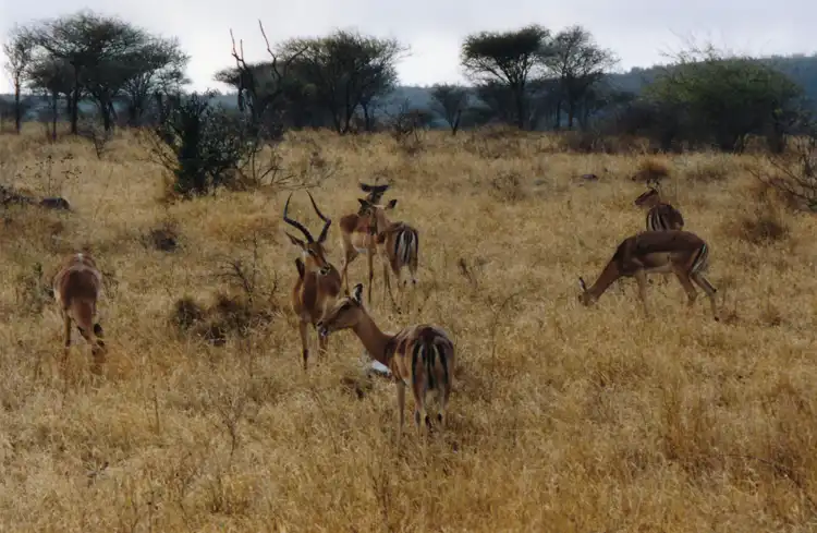Take your backpack - South Africa - 9