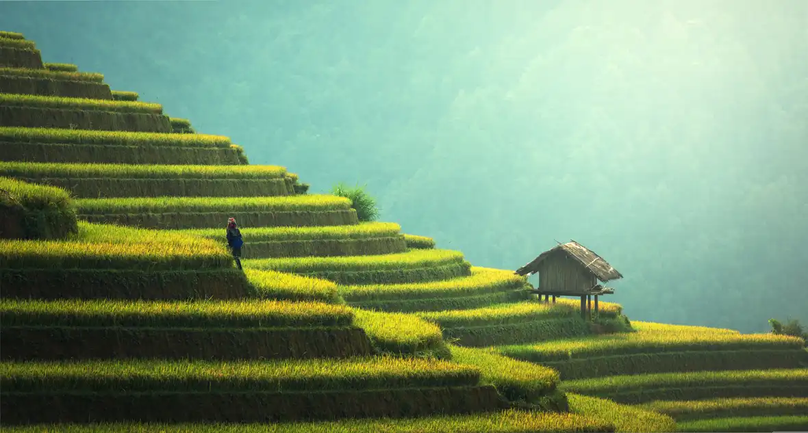 thailand - pixabay - agriculture-1807581