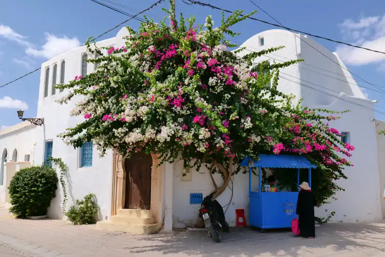 Take your backpack - Tunisia - 28