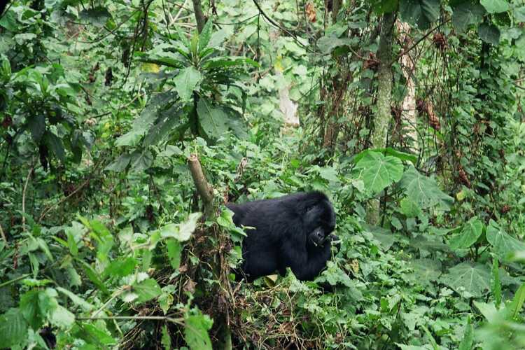 Take your backpack - Uganda - 7