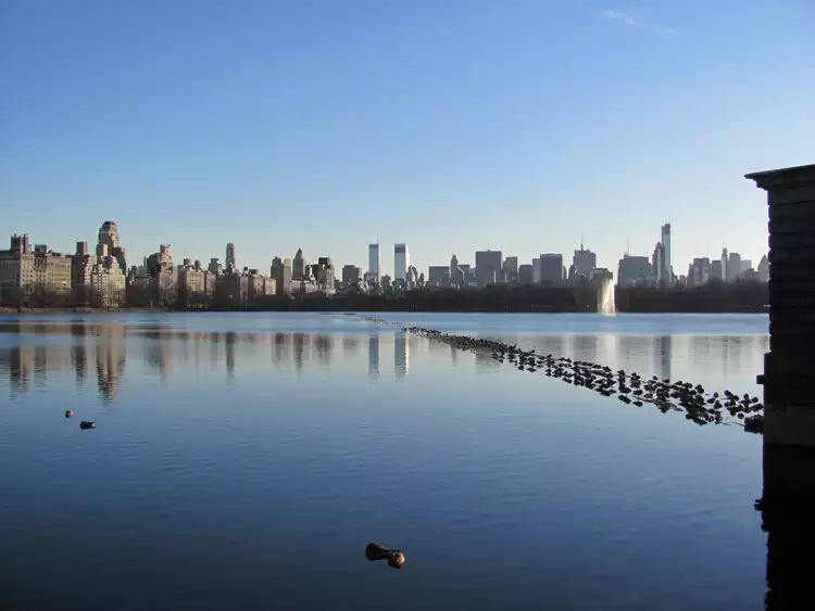 Take your backpack - New York - 10