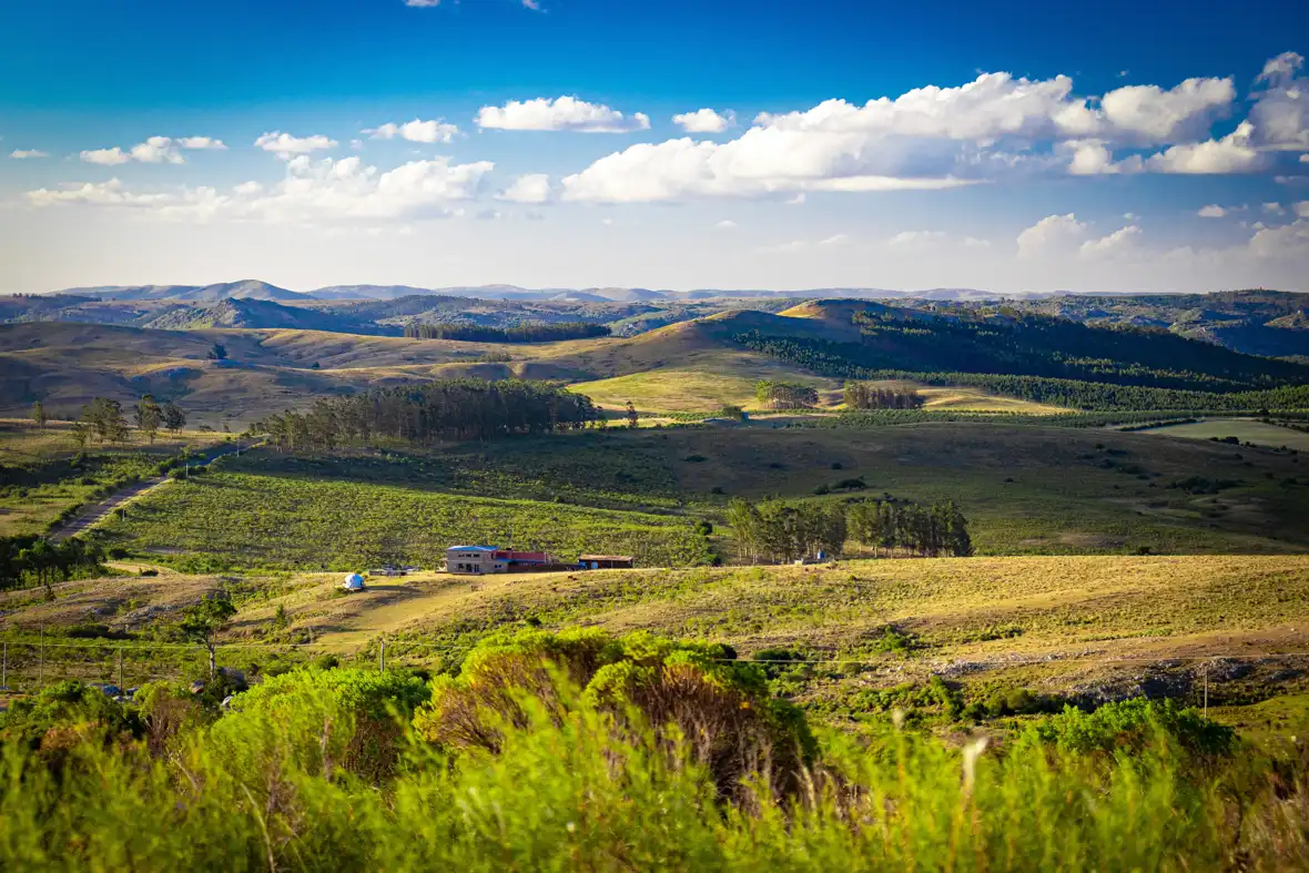 uruguay - karan-chaudhari-YqUW7fT5NwM-unsplash