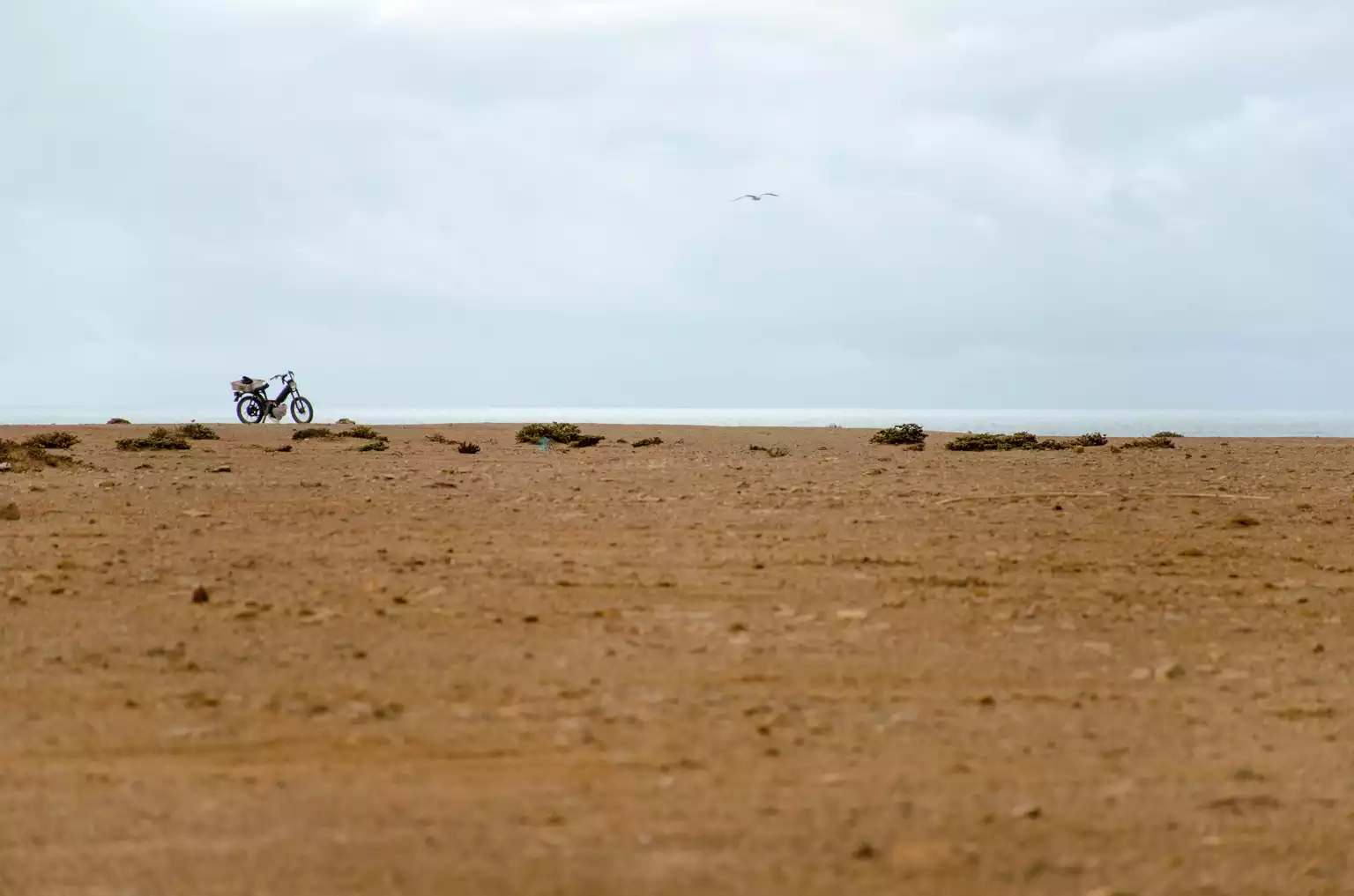 western sahara - daniel-born-sberykLLUmw-unsplash