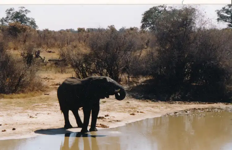 Take your backpack - Zimbabwe - 15