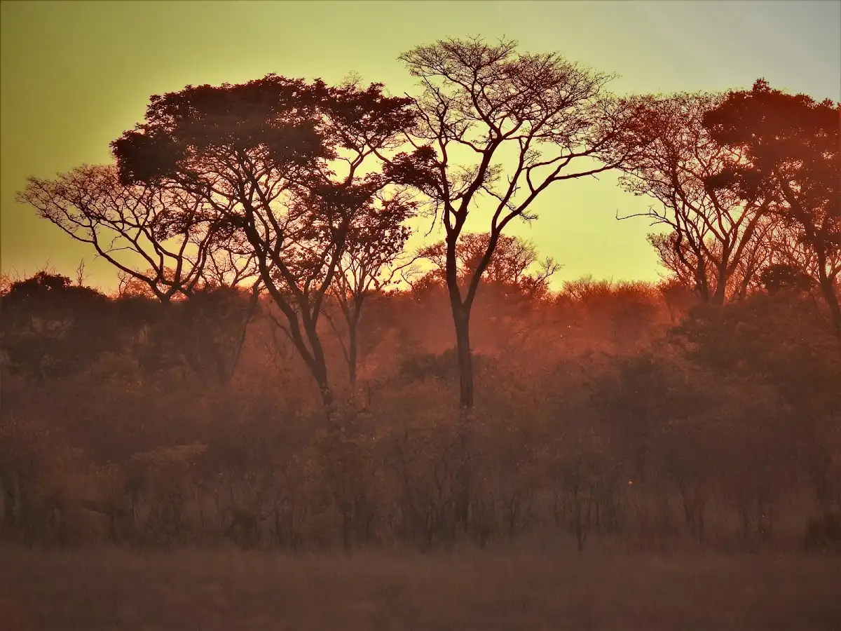 angola-national-park-bicuar-national-park