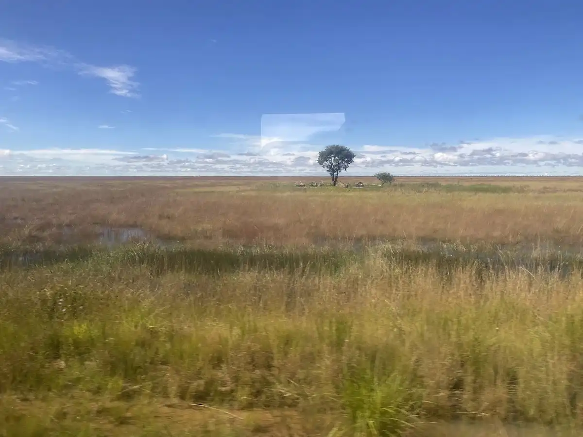 angola-national-park-cameia-national-park