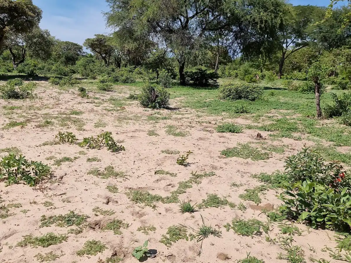 angola-national-park-luengue-luiana-national-park