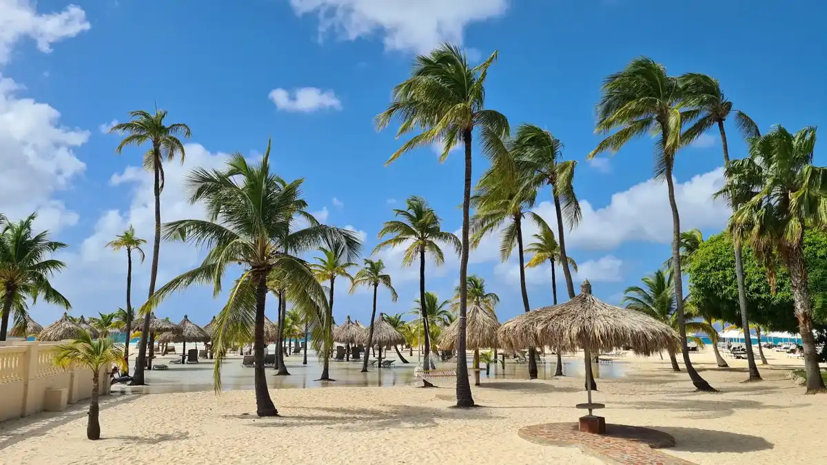 aruba-beach-manchebo-beach