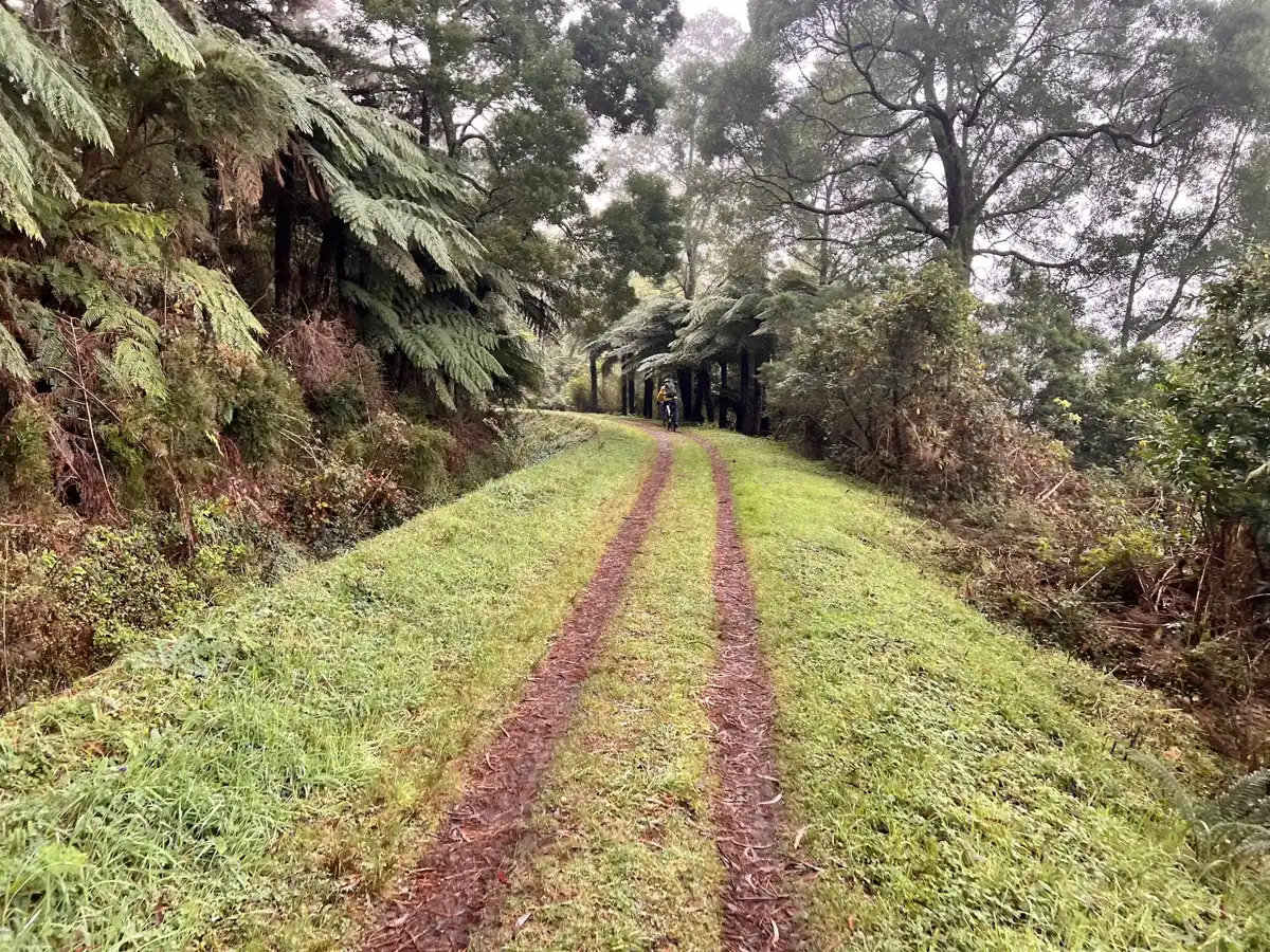 australia-hike-oshannassy-aqueduct-trail