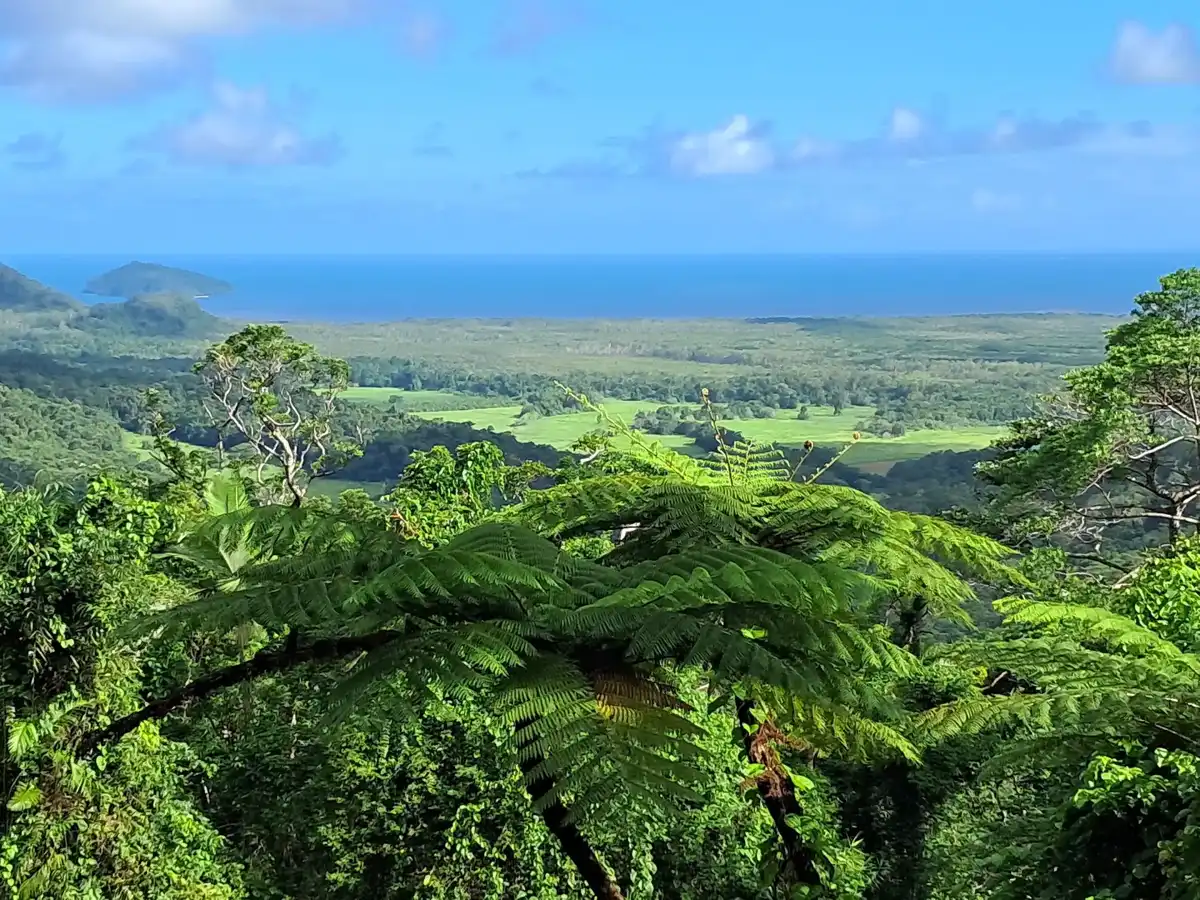 australia-national-park-daintree-national-park