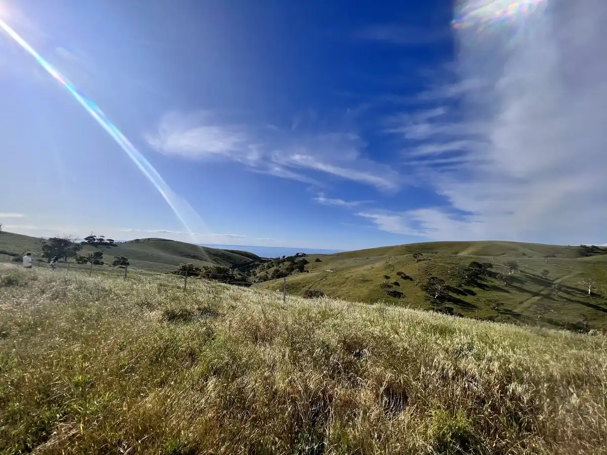 australia-region-fleurieu-peninsula