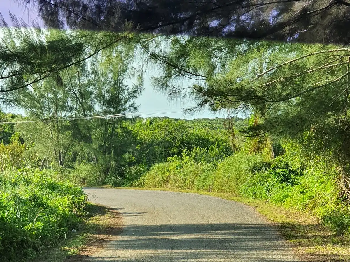 bahamas-region-abacos v1