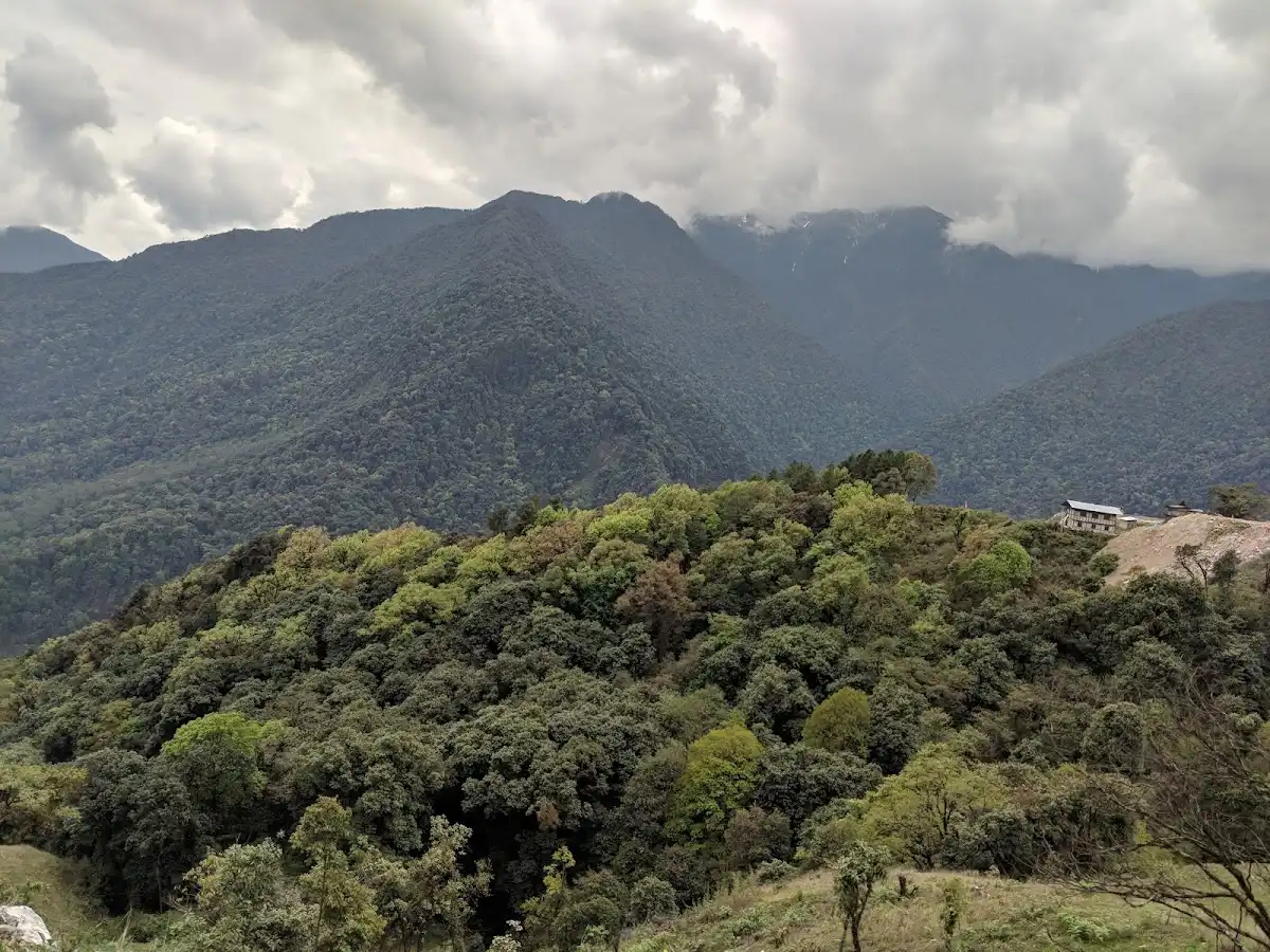 bhutan-national-park-jigme-singye-wangchuck-national-park
