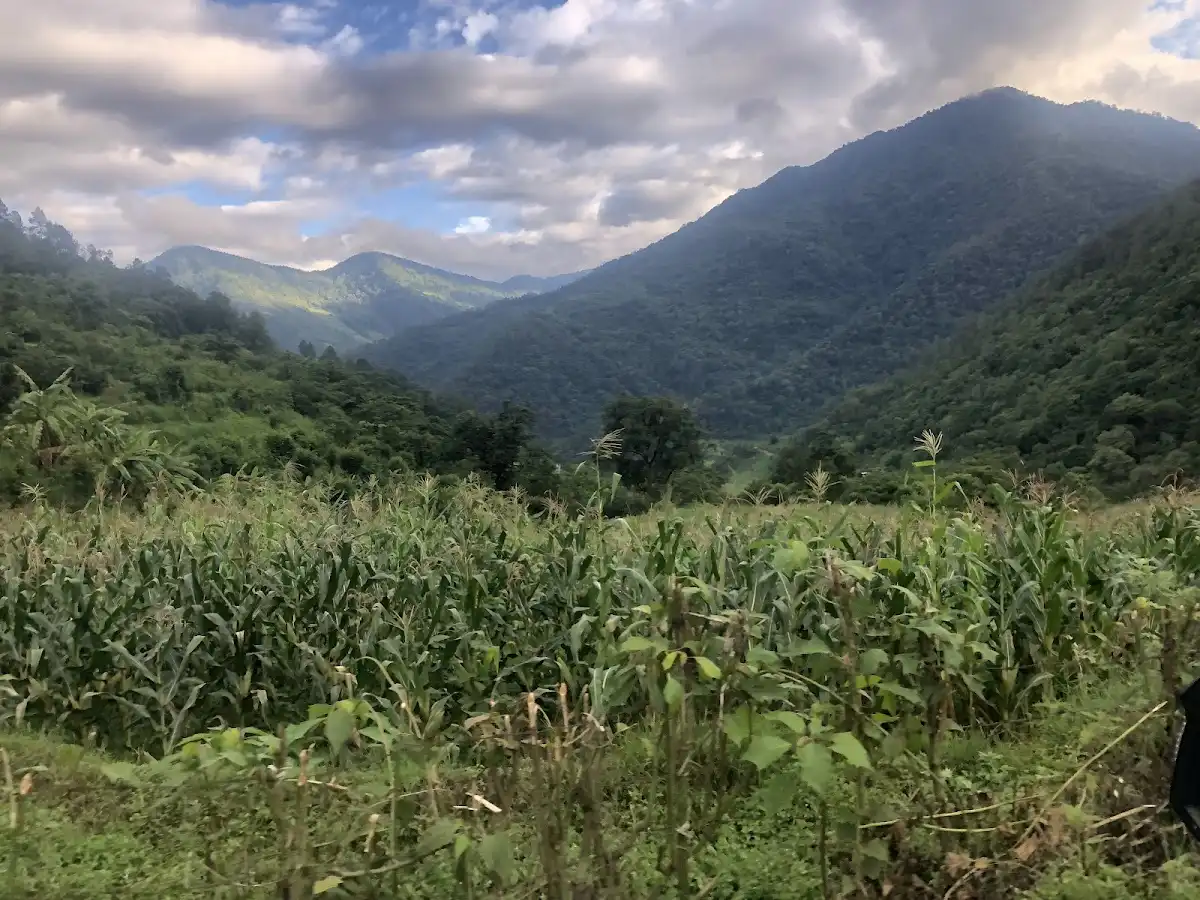 bhutan-national-park-phrumsengla-national-park v1