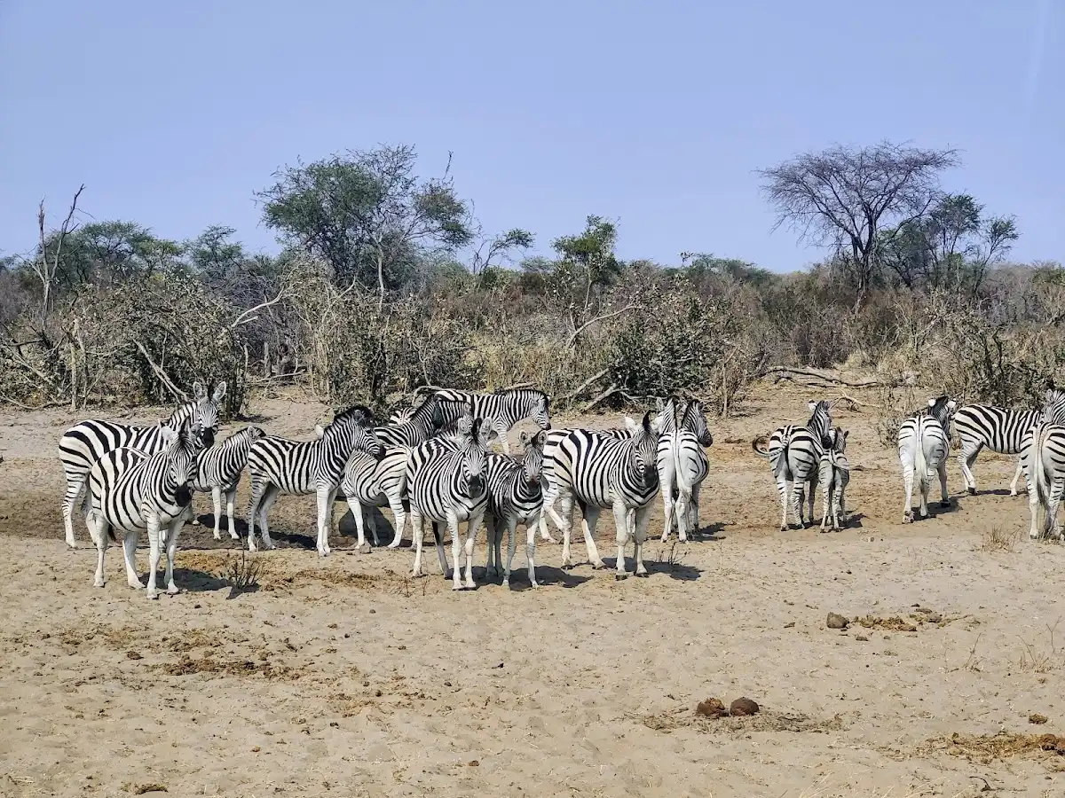 botswana-national-park-makgadikgadi-pans-national-park