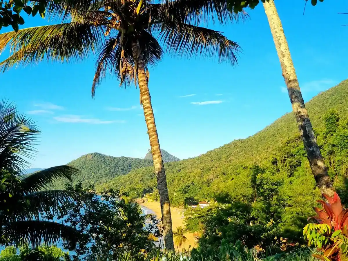 brazil-region-ilha-grande