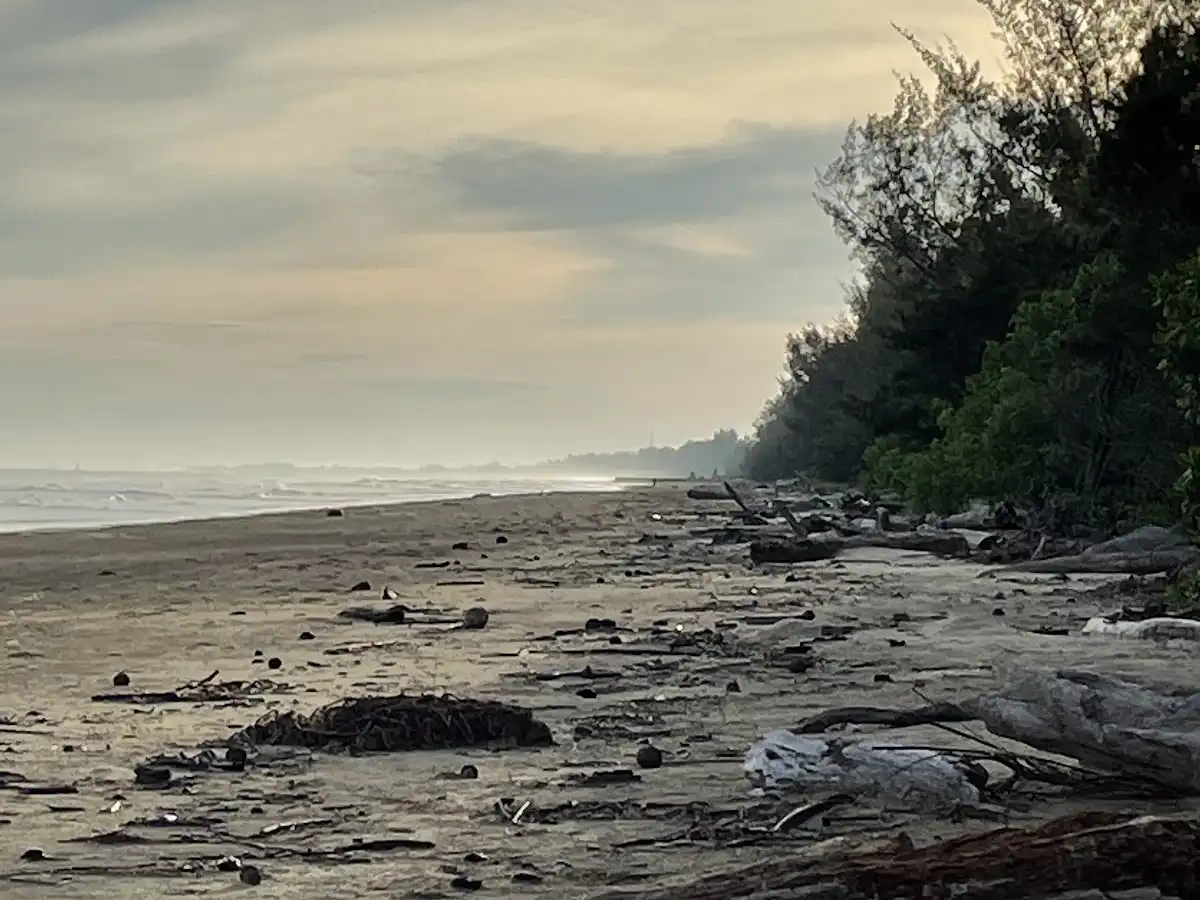 brunei-beach-kuala-belait-beach
