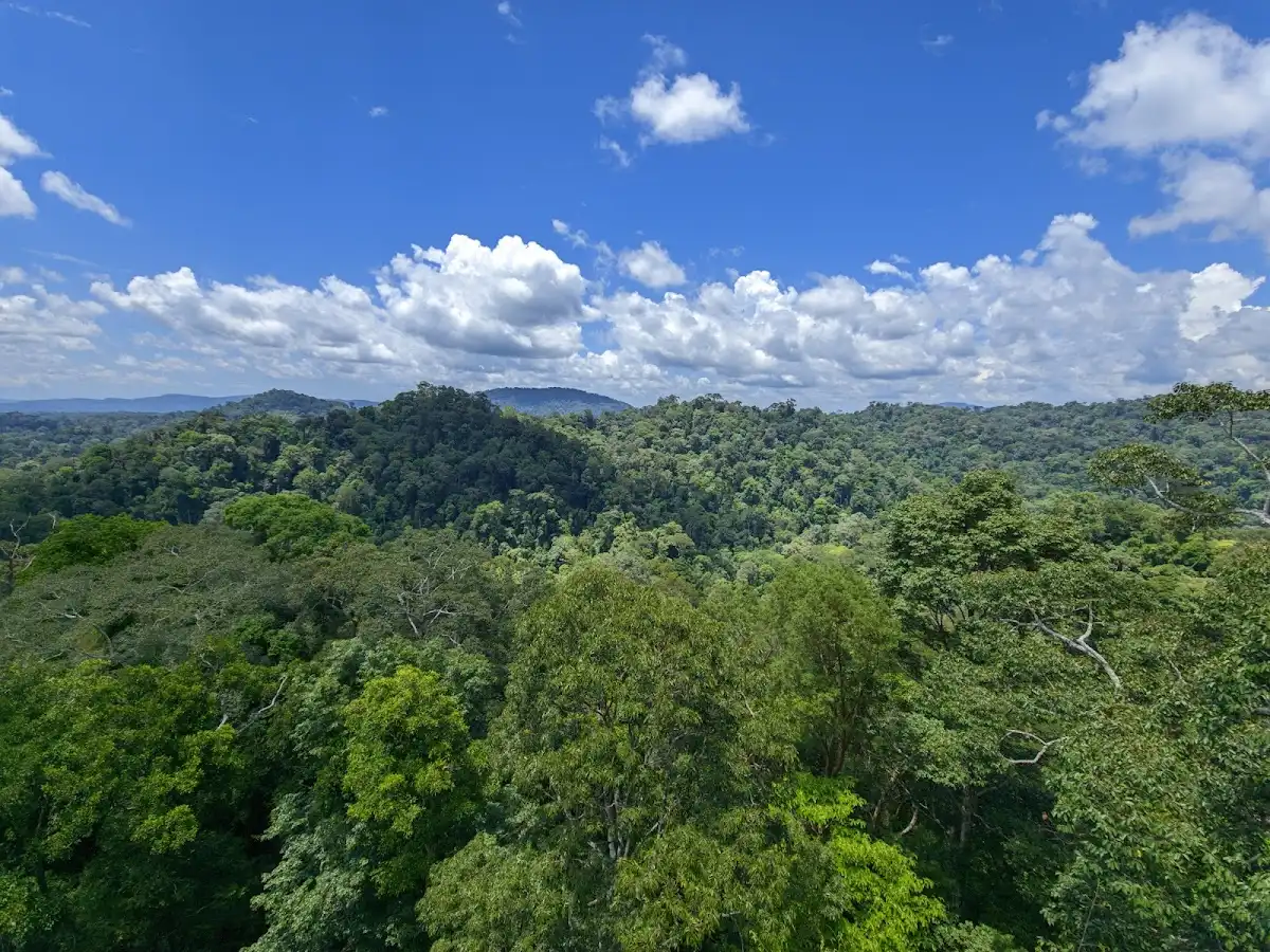 brunei-national-park-ulu-temburong-national-park v1