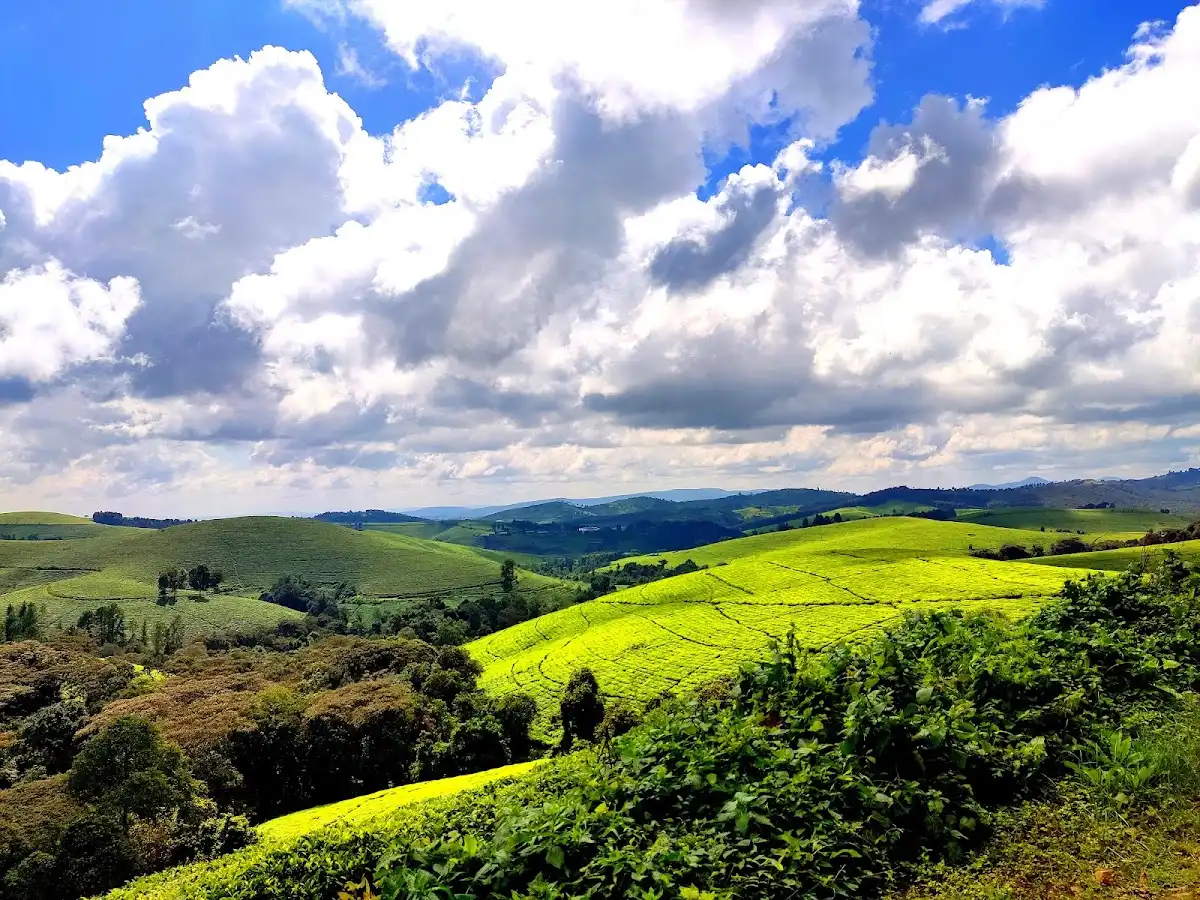 burundi-national-park-lake-tanganyika-nature-reserve