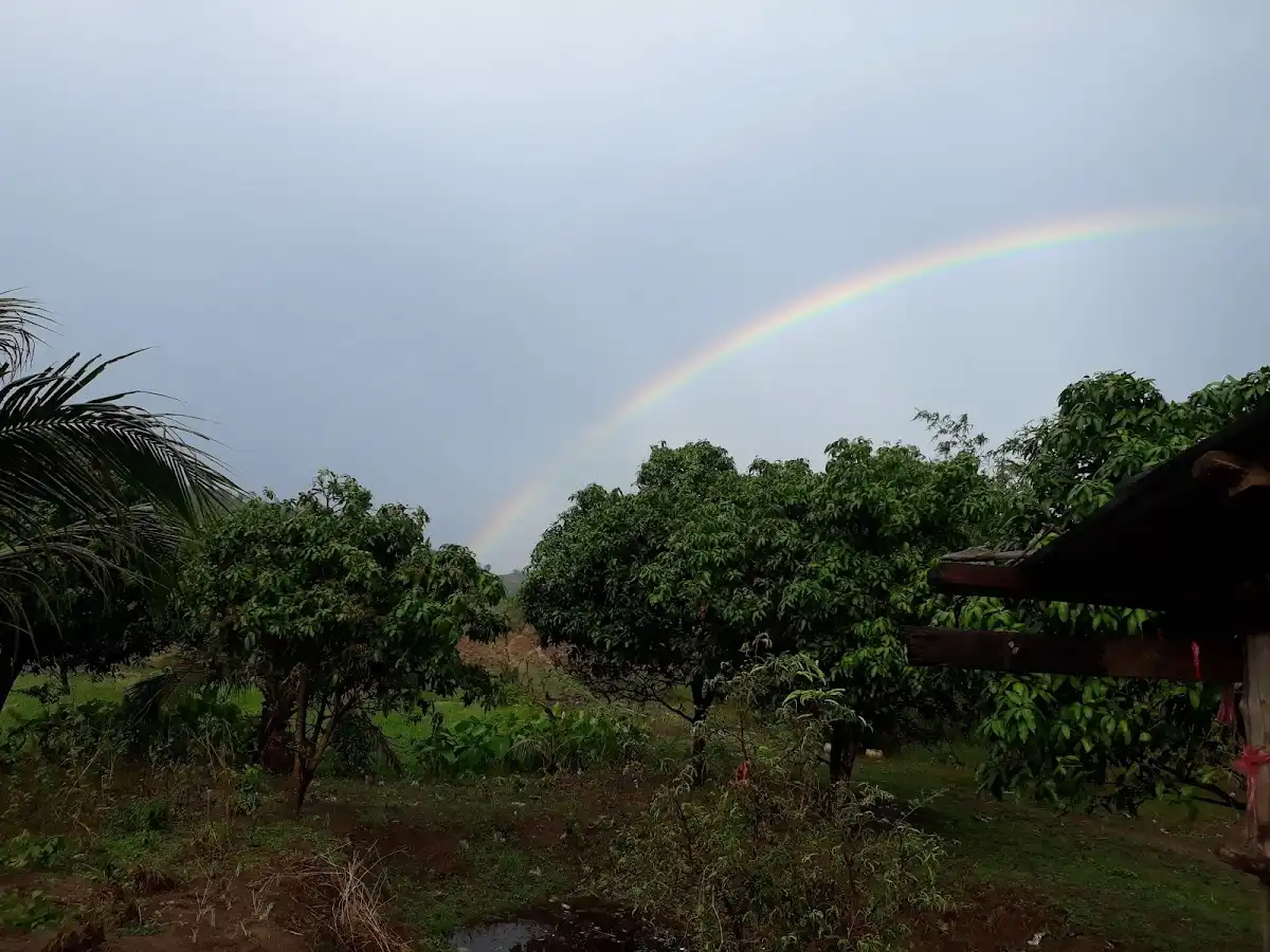 cambodia-city-pailin